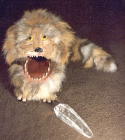 Fizzgig with Crystal